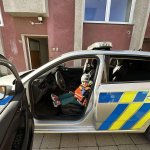 Policie, Hasiči